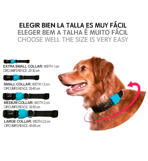 Zee.Dog Homer Simpson Collar